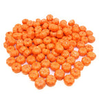Mini Harvest Pumpkins