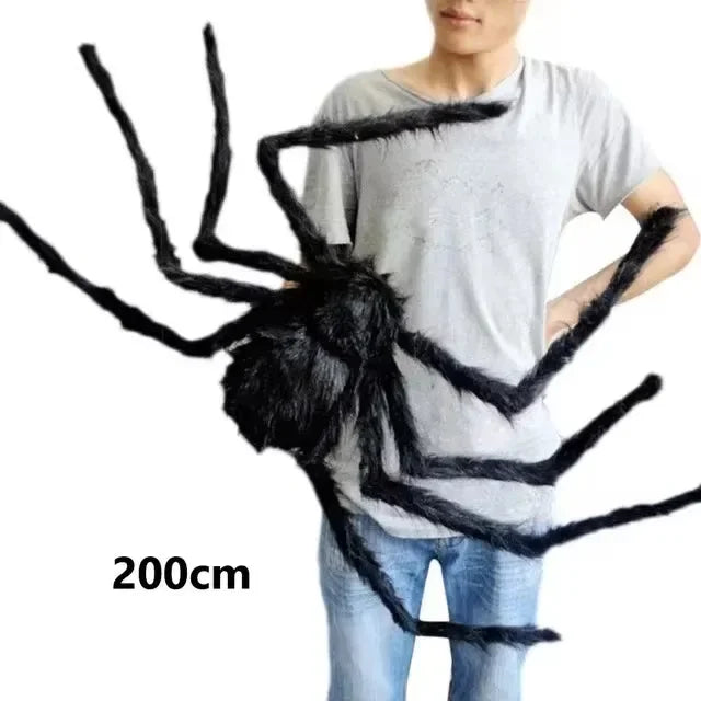 Giant Fuzzy Porch Spider