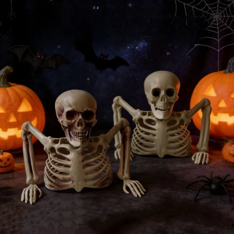 Peeking Yard Bones