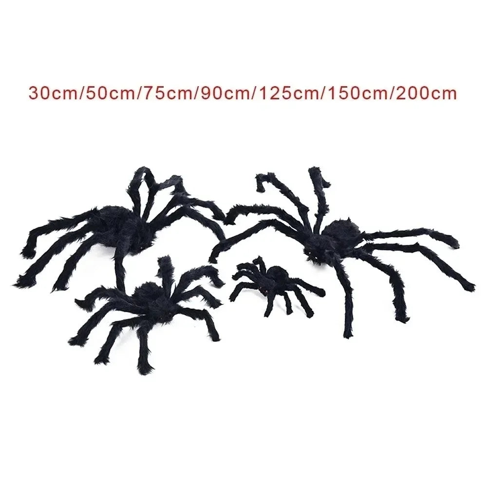 Giant Fuzzy Porch Spider
