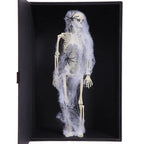 Poseable Porch Skeleton