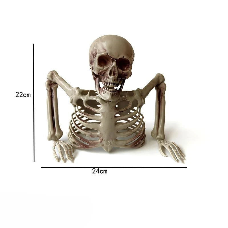 Peeking Yard Bones