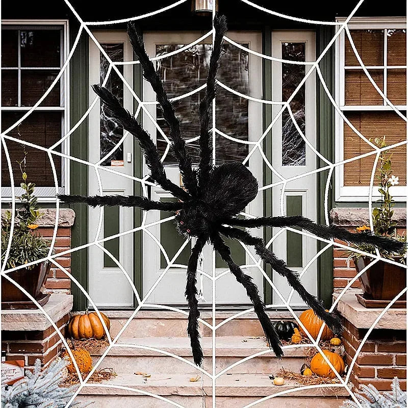 Giant Fuzzy Porch Spider