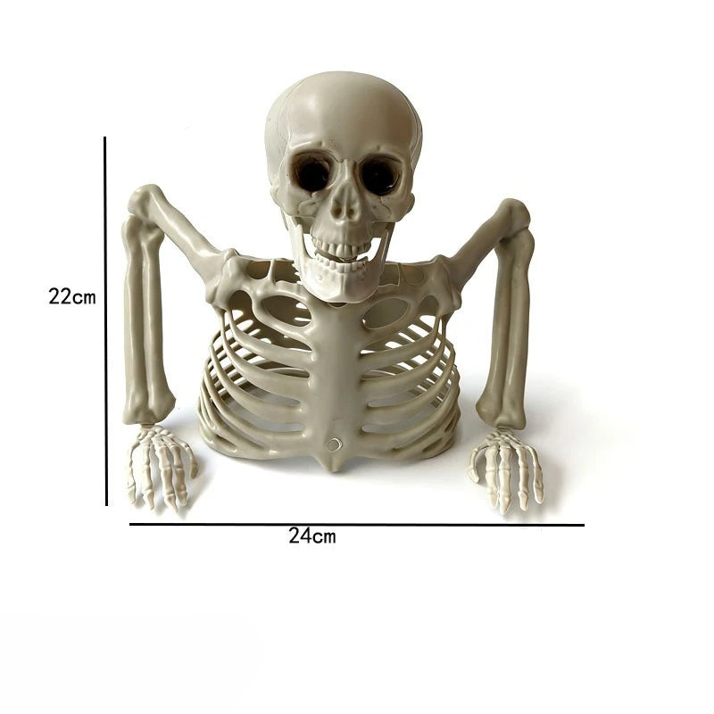 Peeking Yard Bones