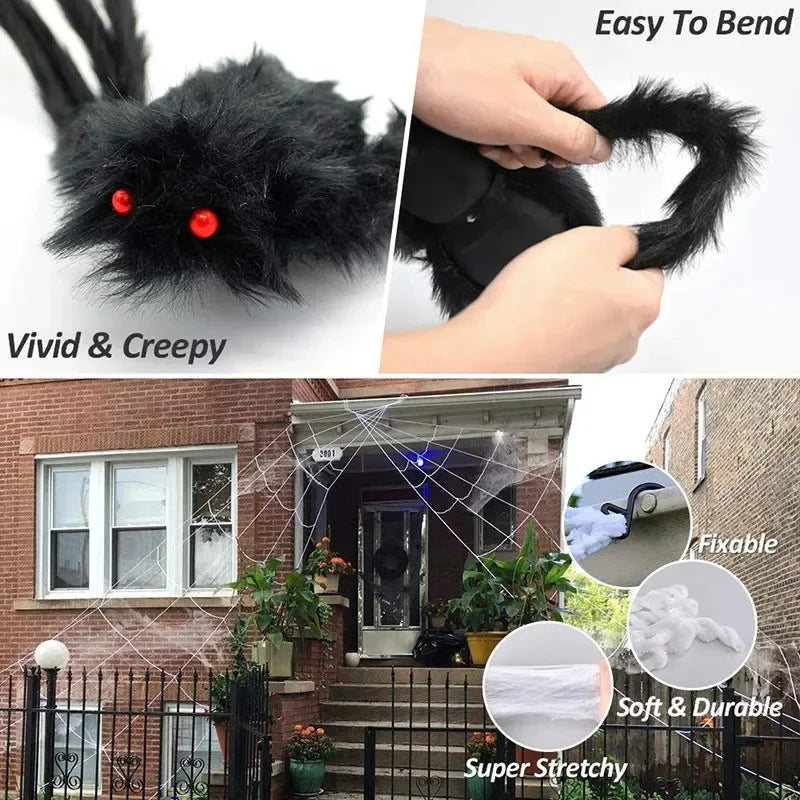 Giant Fuzzy Porch Spider