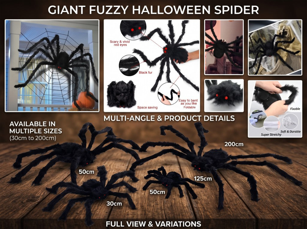 Giant Fuzzy Porch Spider