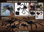 Giant Fuzzy Porch Spider
