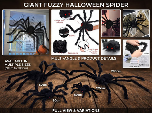 Giant Fuzzy Porch Spider